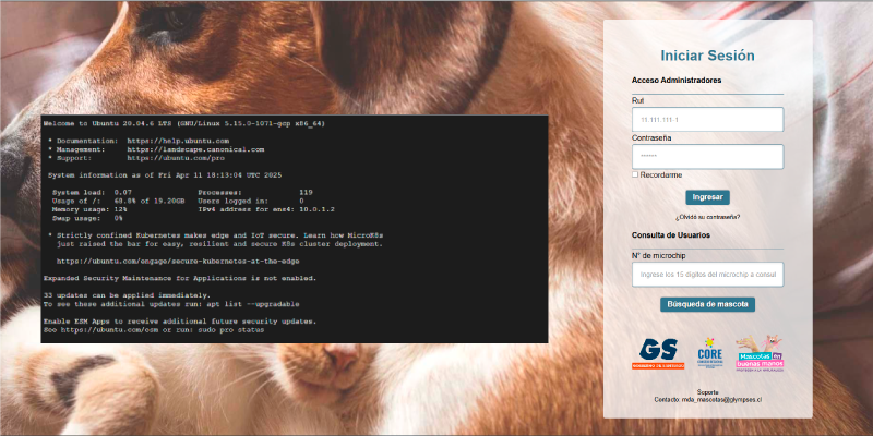 Proyecto TC 1